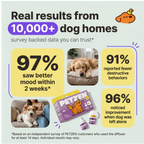 Dogs Calming Diffuser Kit